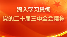 深入學習貫徹黨的二十屆三中全會精神